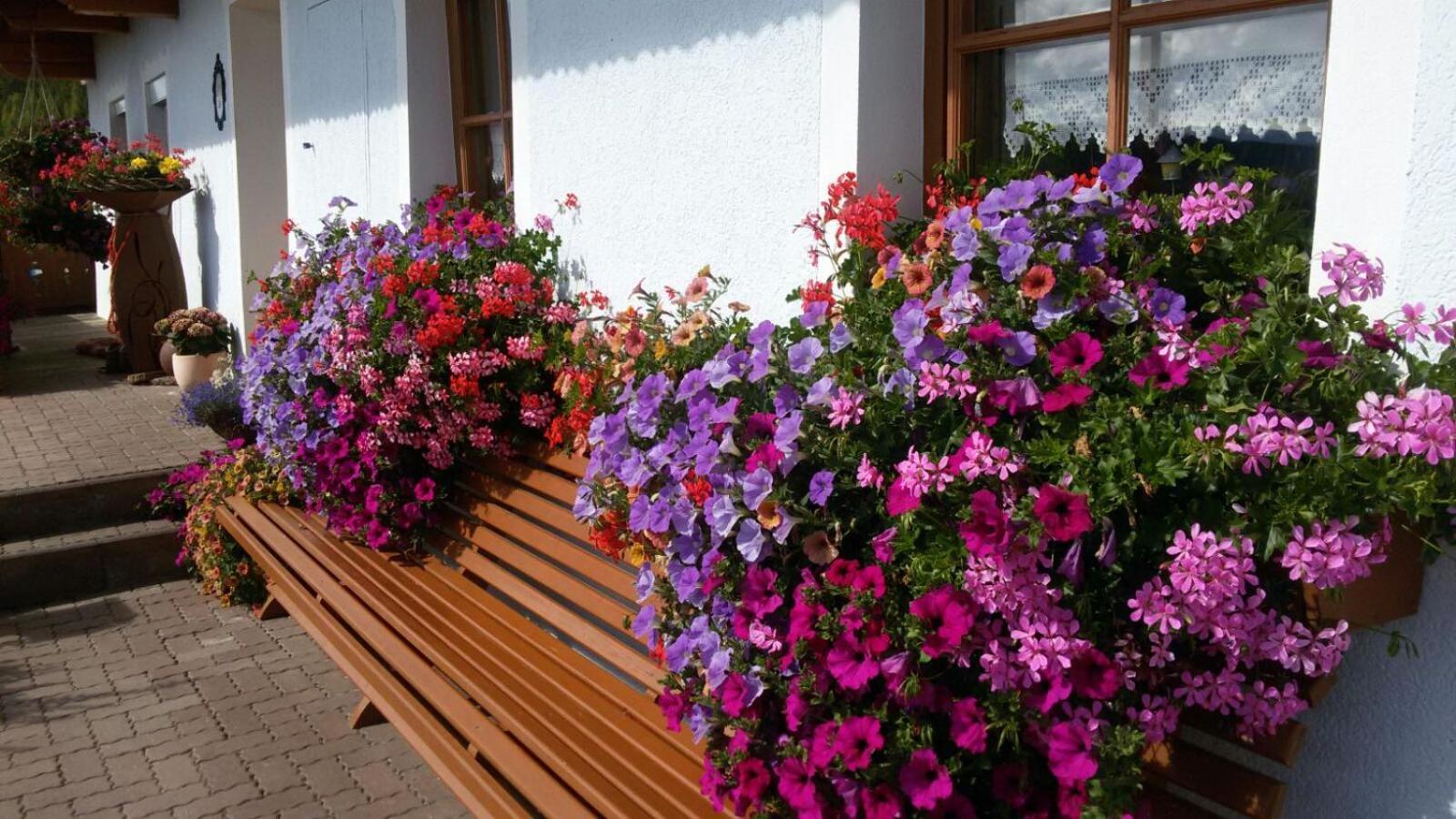 Urlaub Am Raderhof In Der Ferienregion Lungau Leilighet Mauterndorf  Eksteriør bilde